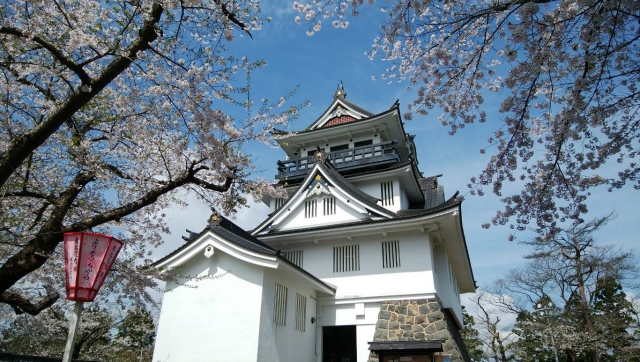 桜と横手城