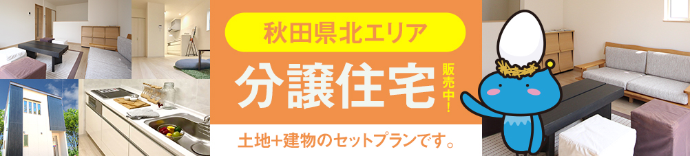 分譲住宅販売中